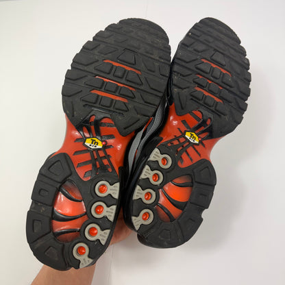 NIKE AIR MAX PLUS TN ‘Wolf Grey’