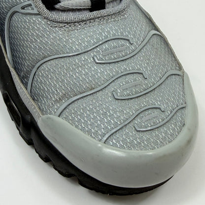 NIKE AIR MAX PLUS TN ‘Wolf Grey’