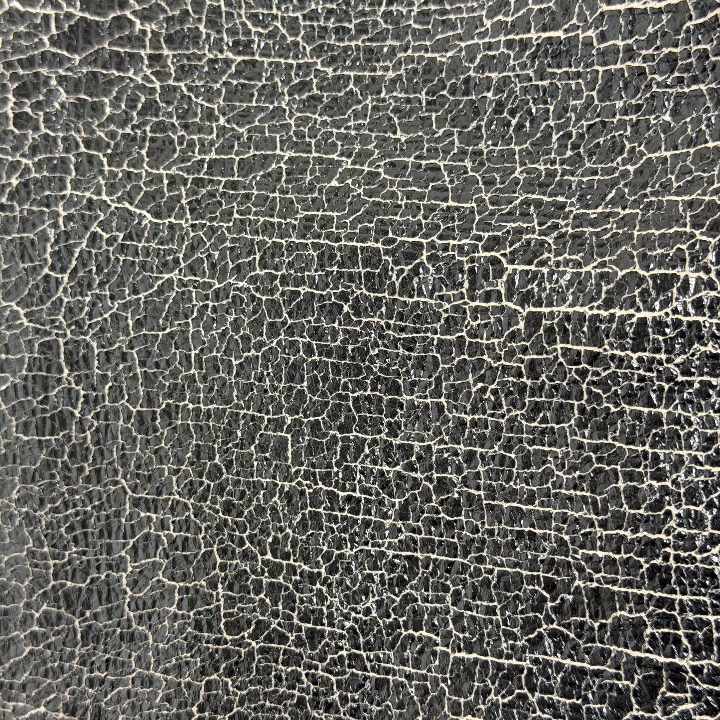 HELIUM Cracked Leather Jacket